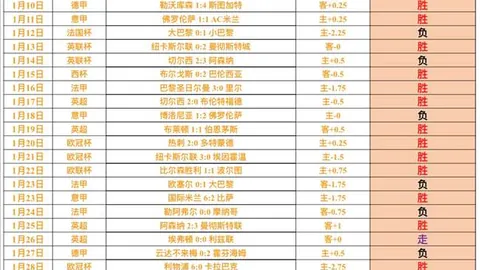 欧洲杯贵妇团风云际会：新星闪耀——菲利克斯佳人格丽塔领跑潮流