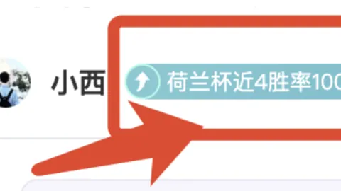 隆戈透露：勒沃库森热盼签下佳夫，拜仁同样情有独钟