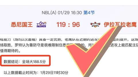 小基恩伤退，贝内德助力维罗纳1-0险胜佛罗伦萨